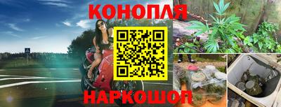 соль ск Моздок