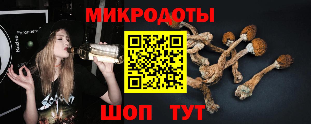 Галлюциногенные грибы GOLDEN TEACHER Тула
